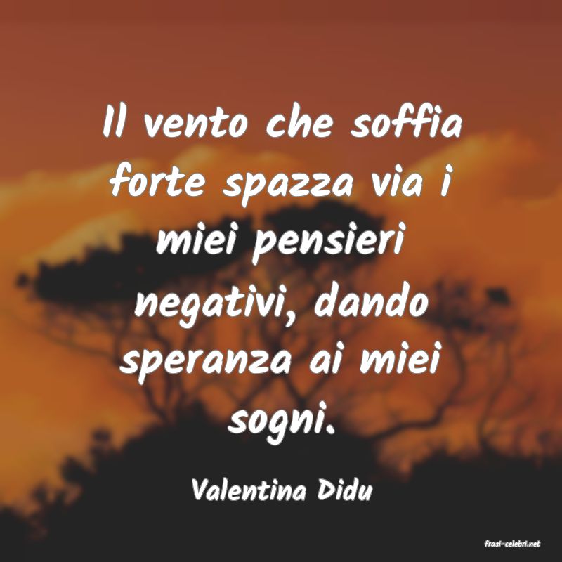 frasi di  Valentina Didu
