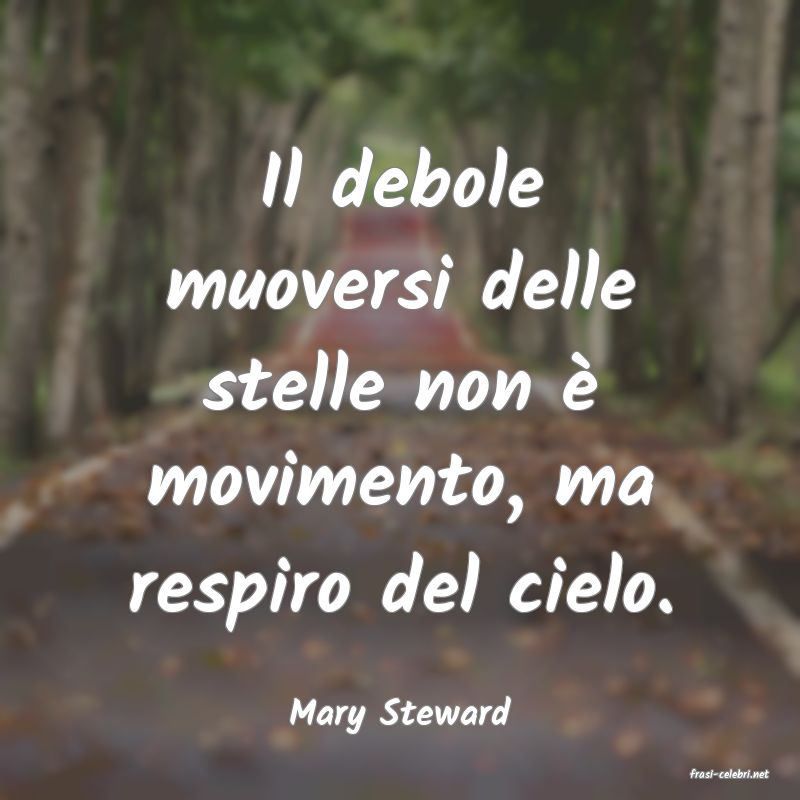 frasi di Mary Steward
