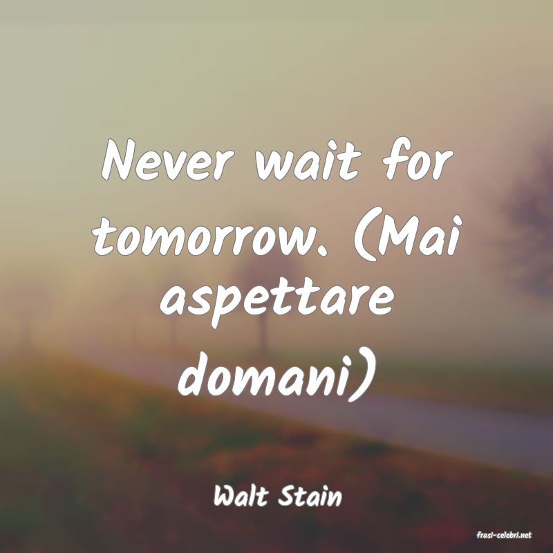 frasi di Walt Stain