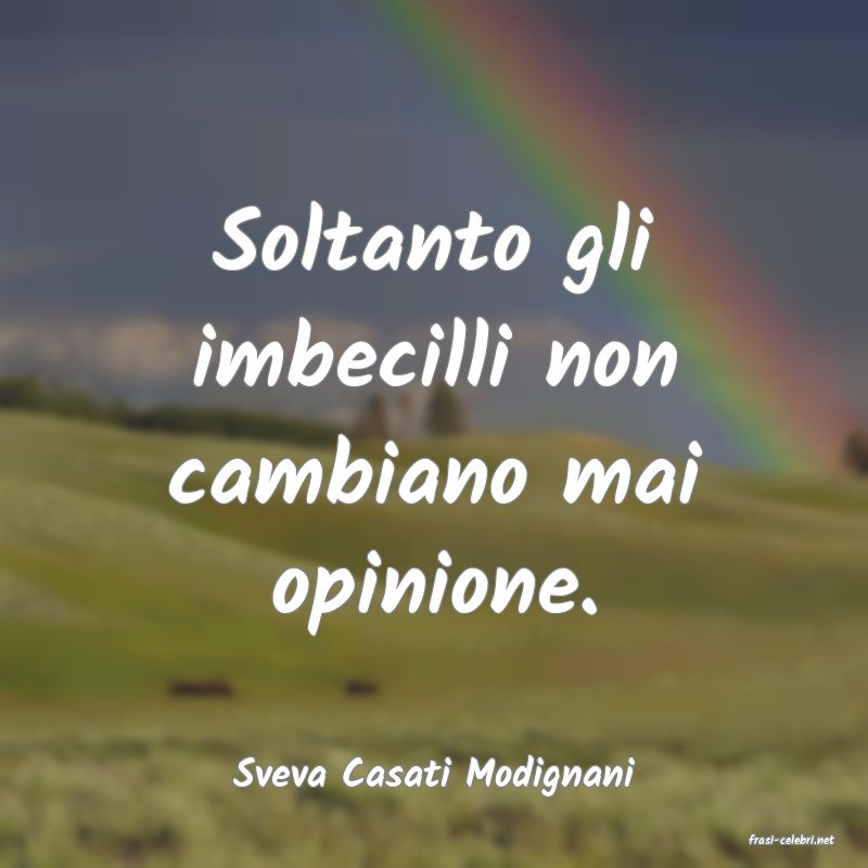 frasi di Sveva Casati Modignani