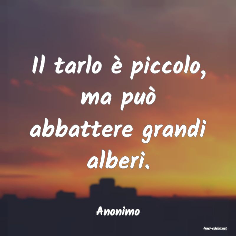frasi di Anonimo