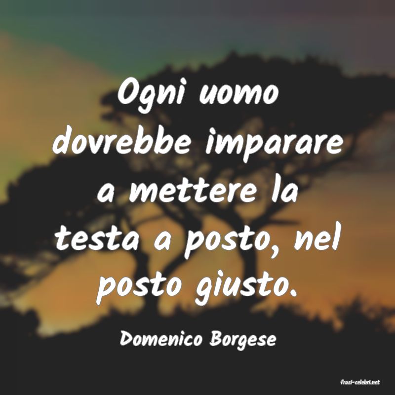 frasi di  Domenico Borgese
