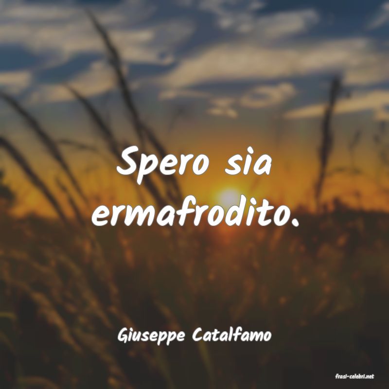 frasi di  Giuseppe Catalfamo
