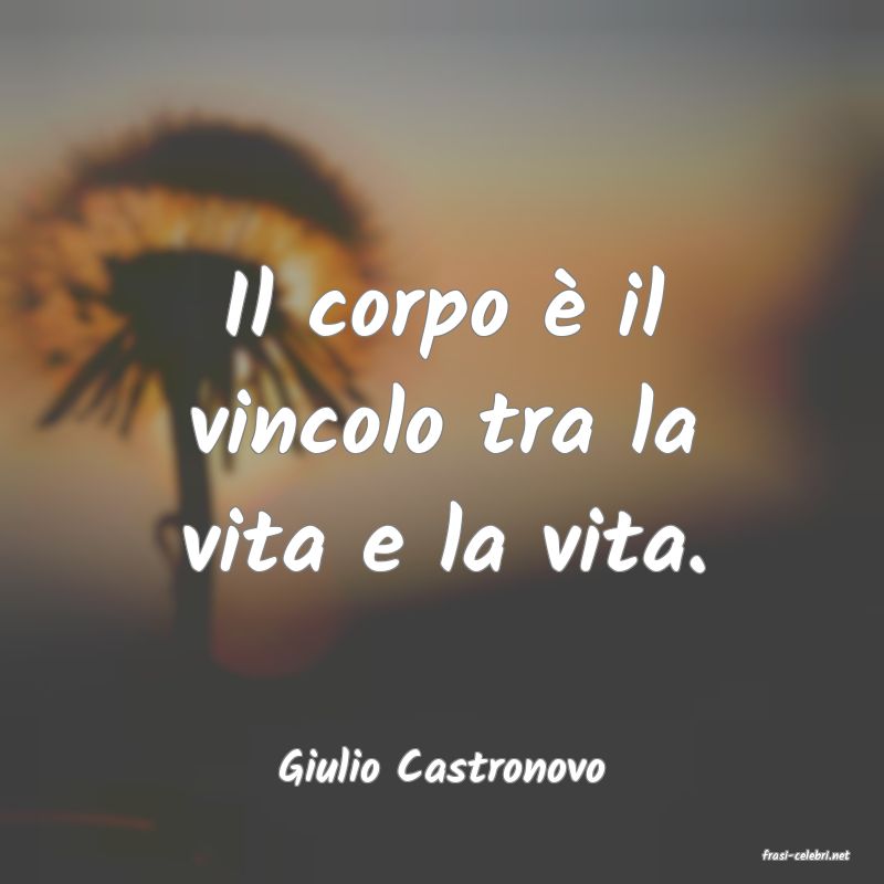frasi di  Giulio Castronovo
