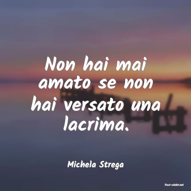 frasi di  Michela Strega
