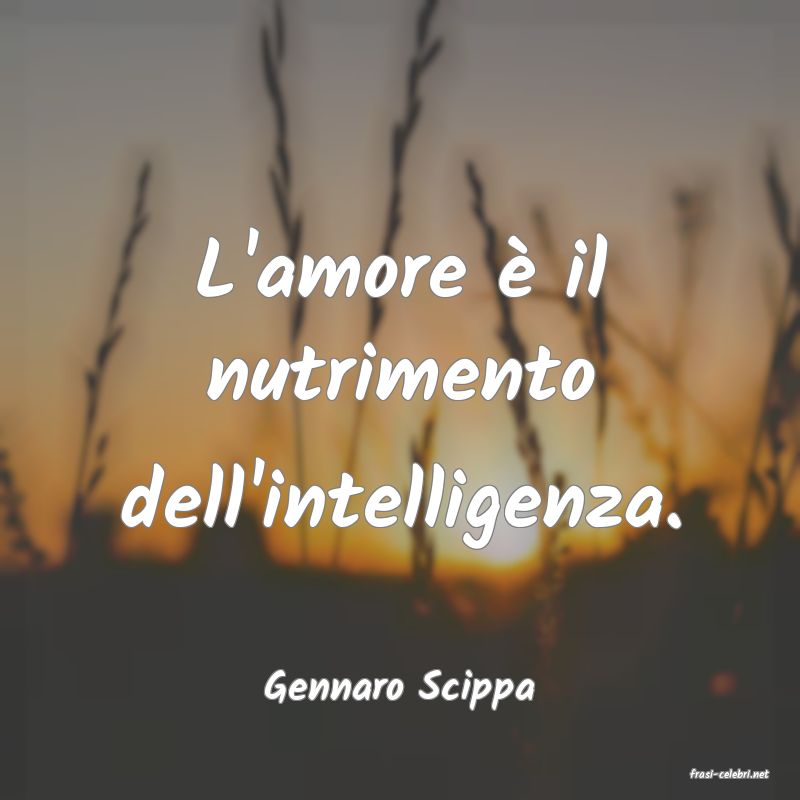 frasi di  Gennaro Scippa
