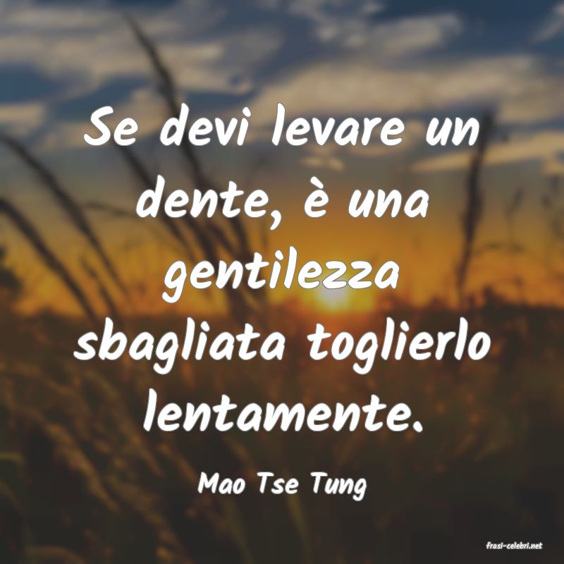 frasi di  Mao Tse Tung
