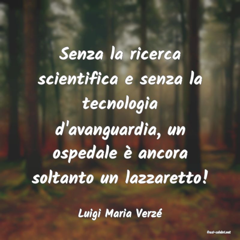frasi di Luigi Maria Verz