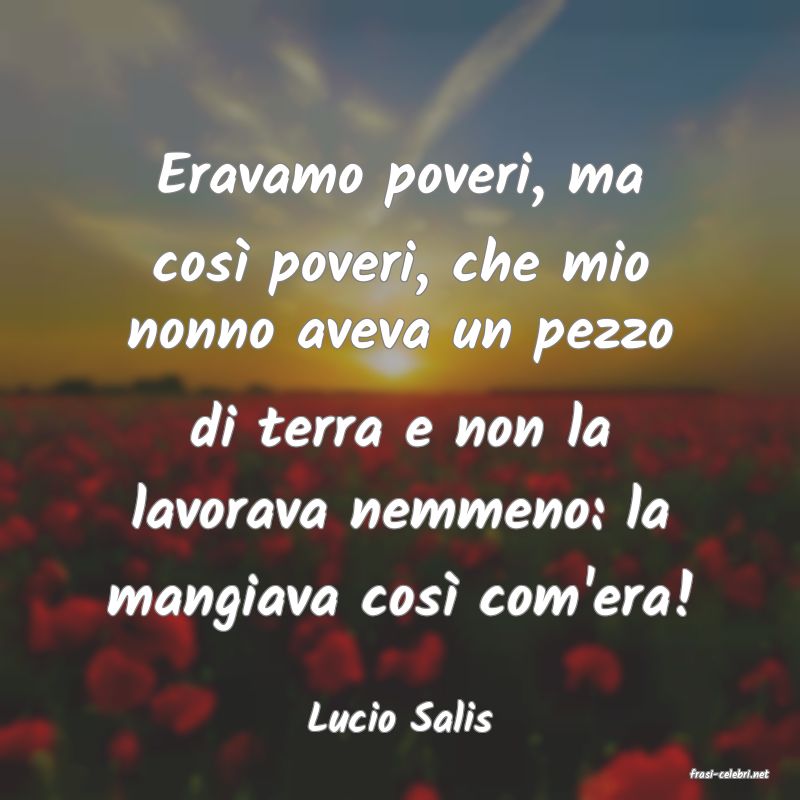 frasi di Lucio Salis