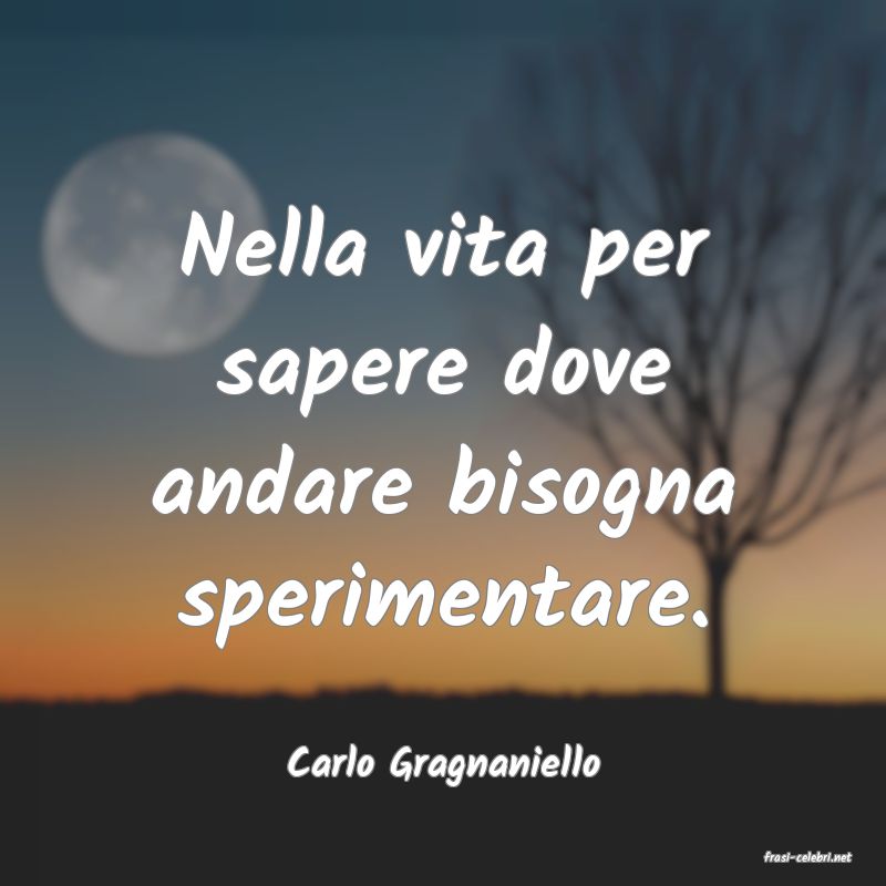 frasi di  Carlo Gragnaniello
