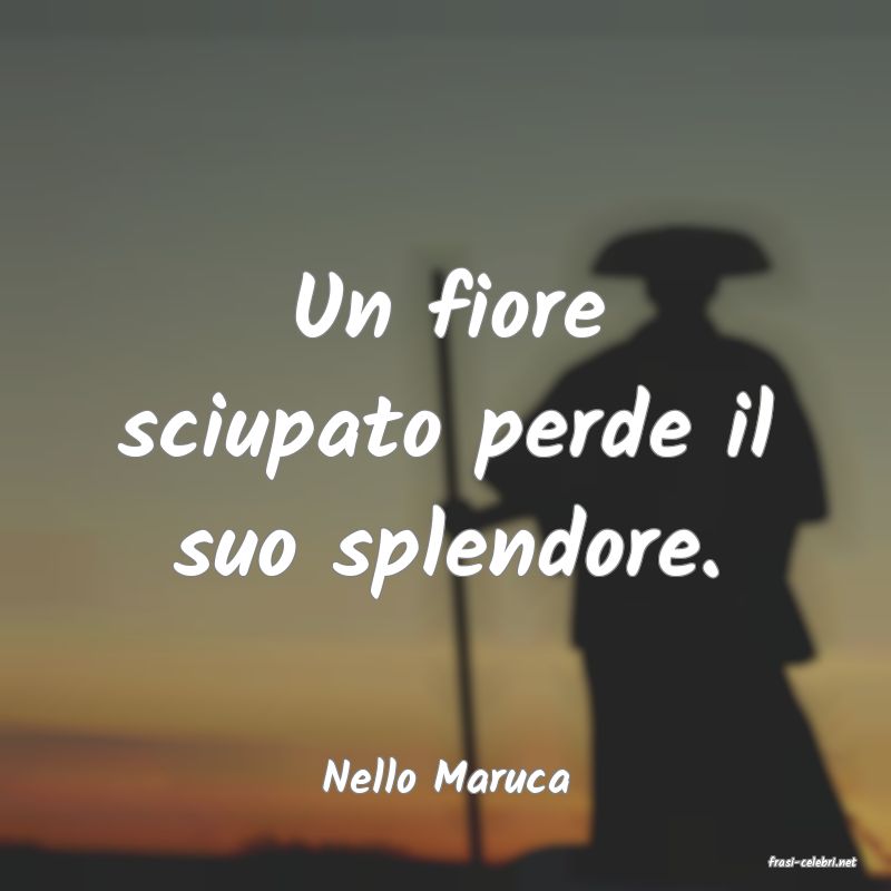 frasi di  Nello Maruca
