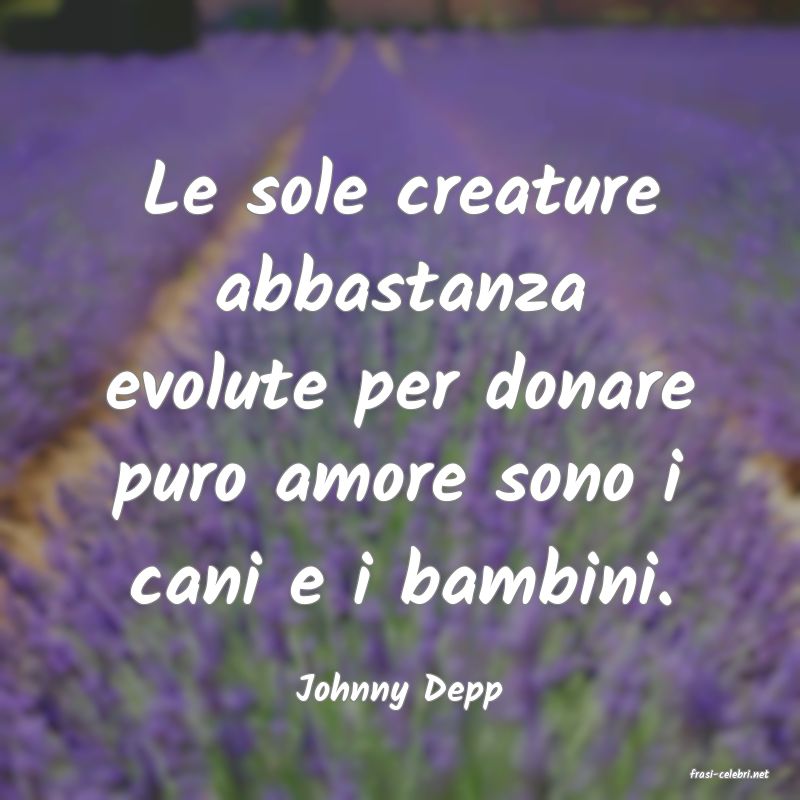 frasi di  Johnny Depp
