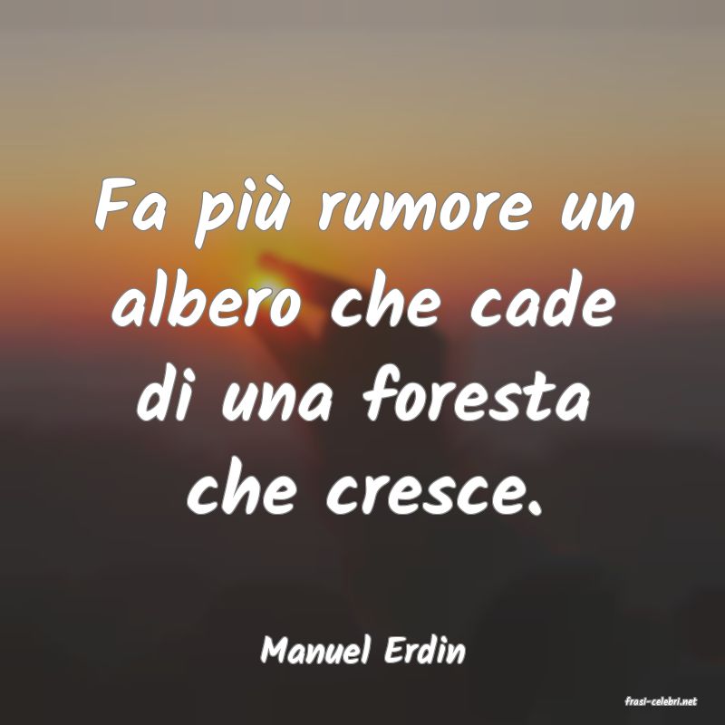 frasi di Manuel Erdin
