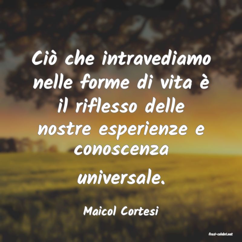 frasi di  Maicol Cortesi
