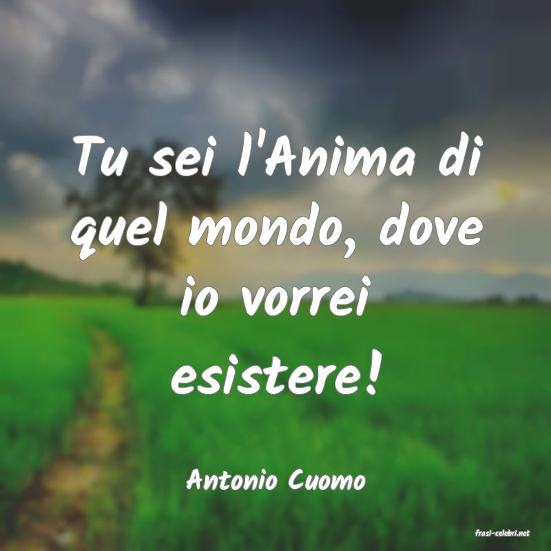frasi di  Antonio Cuomo
