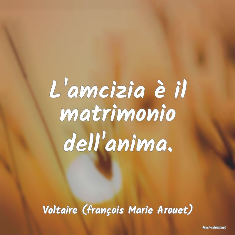 frasi di Voltaire (fran�ois Marie Arouet)