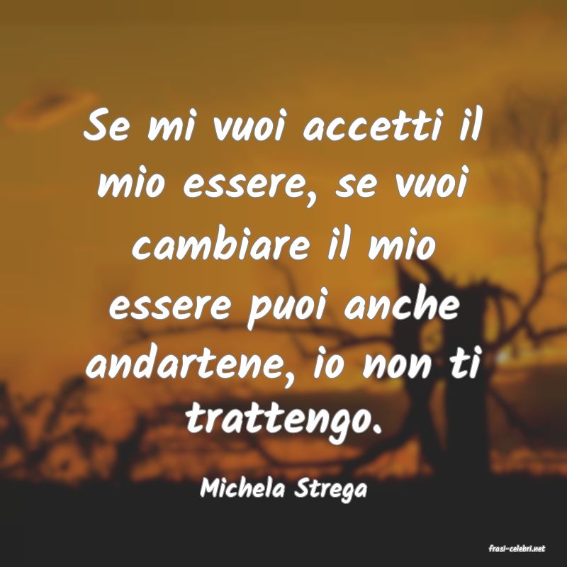 frasi di  Michela Strega
