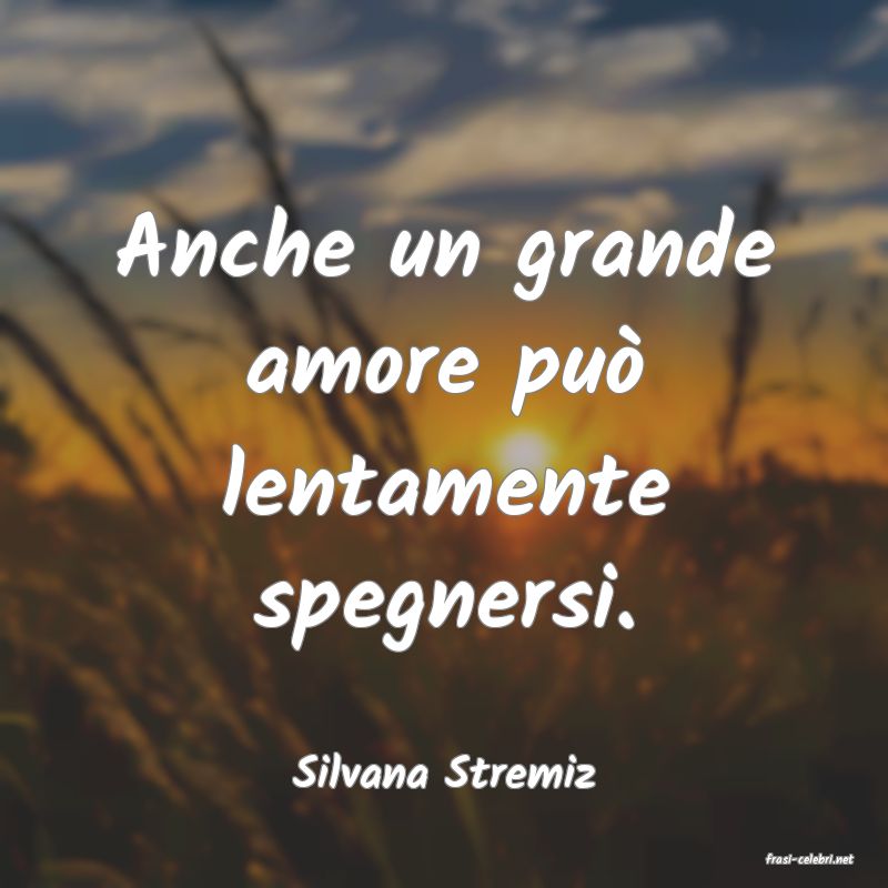 frasi di  Silvana Stremiz
