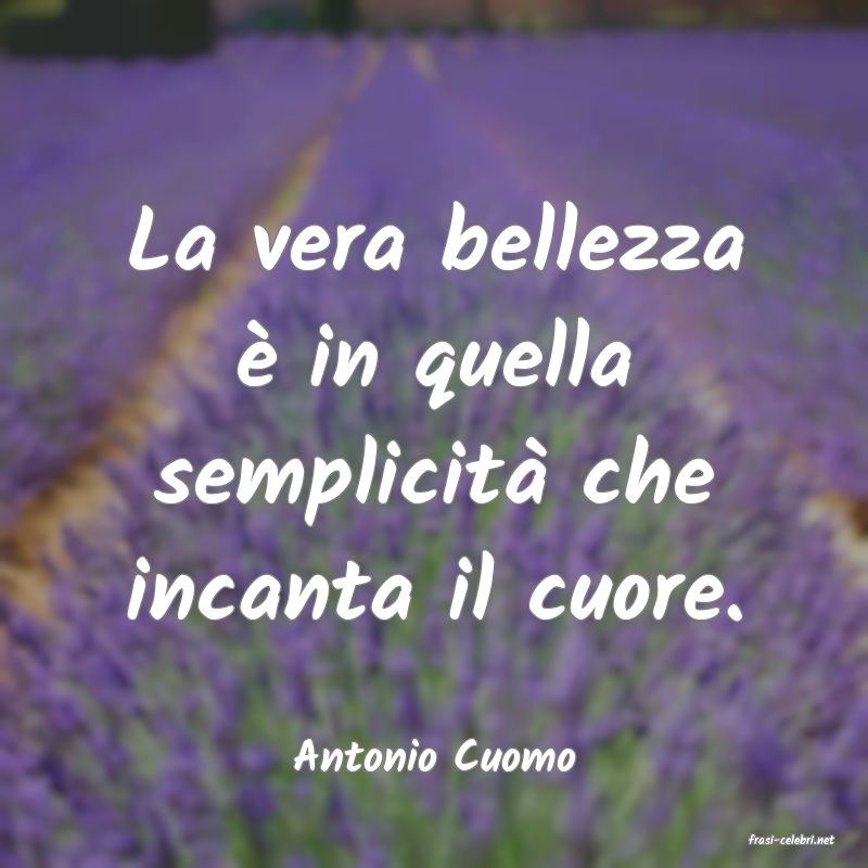 frasi di  Antonio Cuomo
