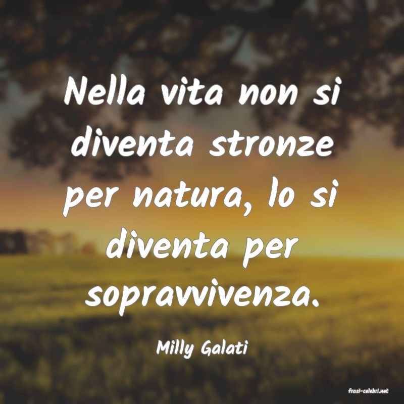 frasi di  Milly Galati
