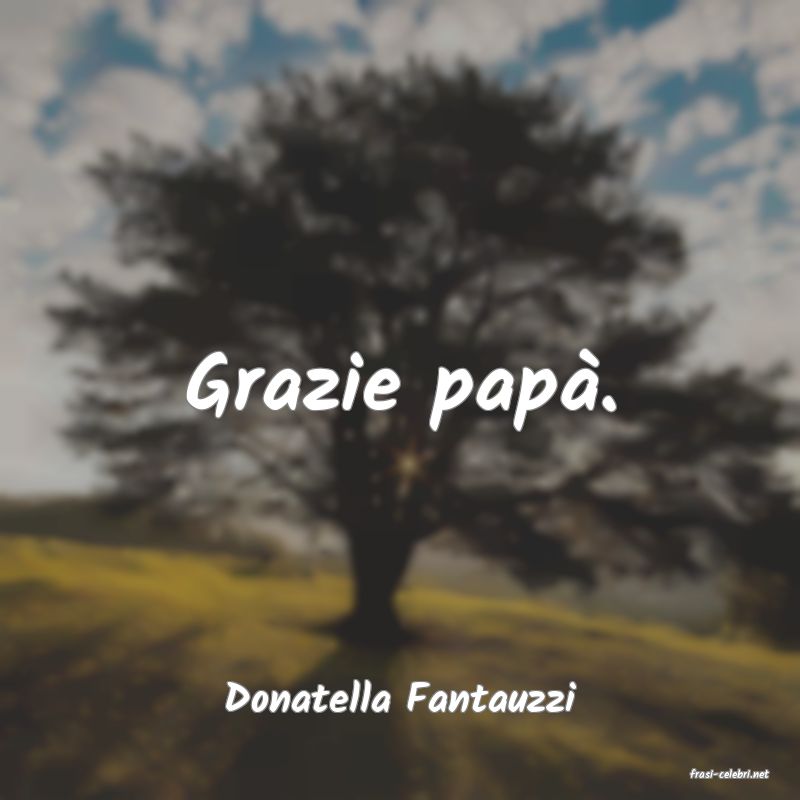 frasi di  Donatella Fantauzzi
