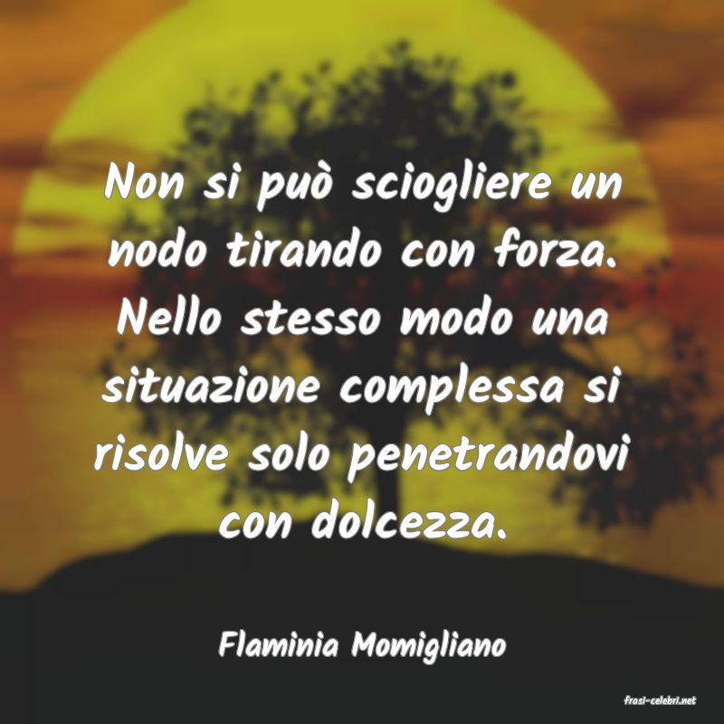 frasi di Flaminia Momigliano