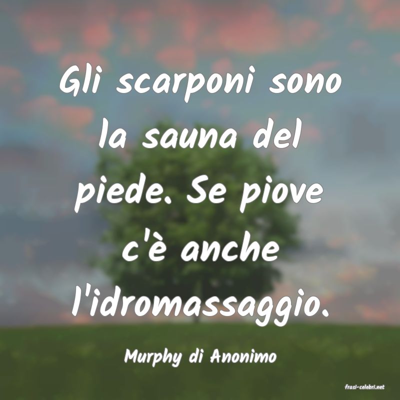 frasi di Murphy di Anonimo