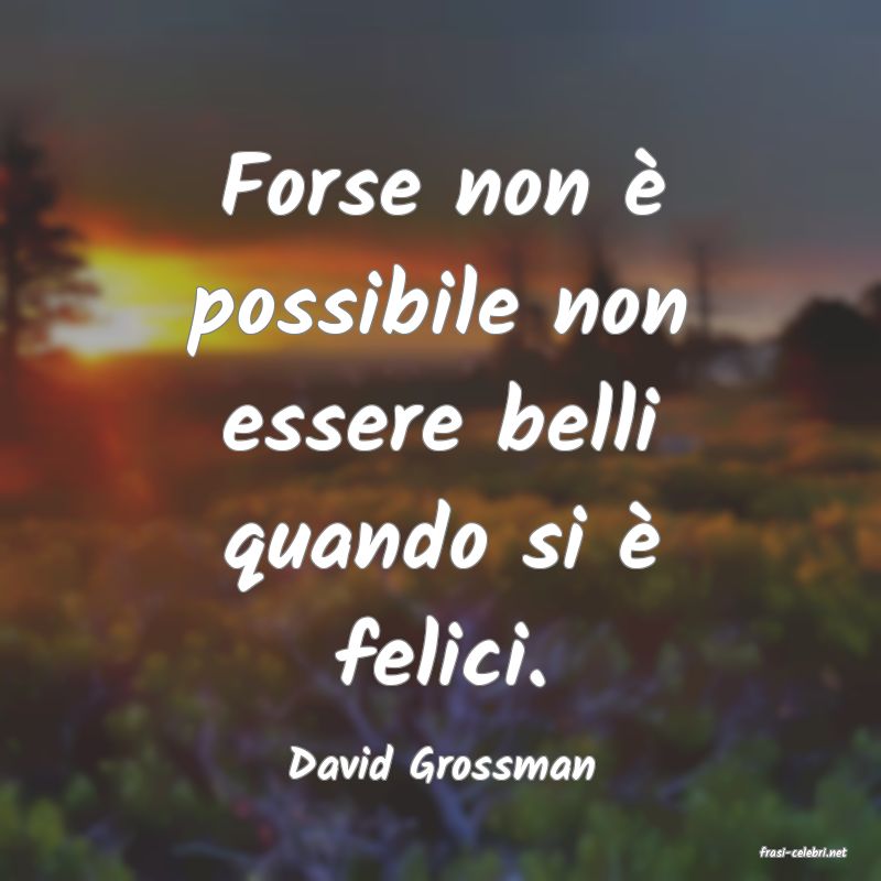 frasi di  David Grossman
