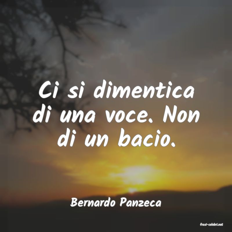 frasi di  Bernardo Panzeca
