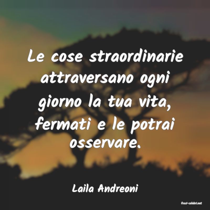 frasi di Laila Andreoni