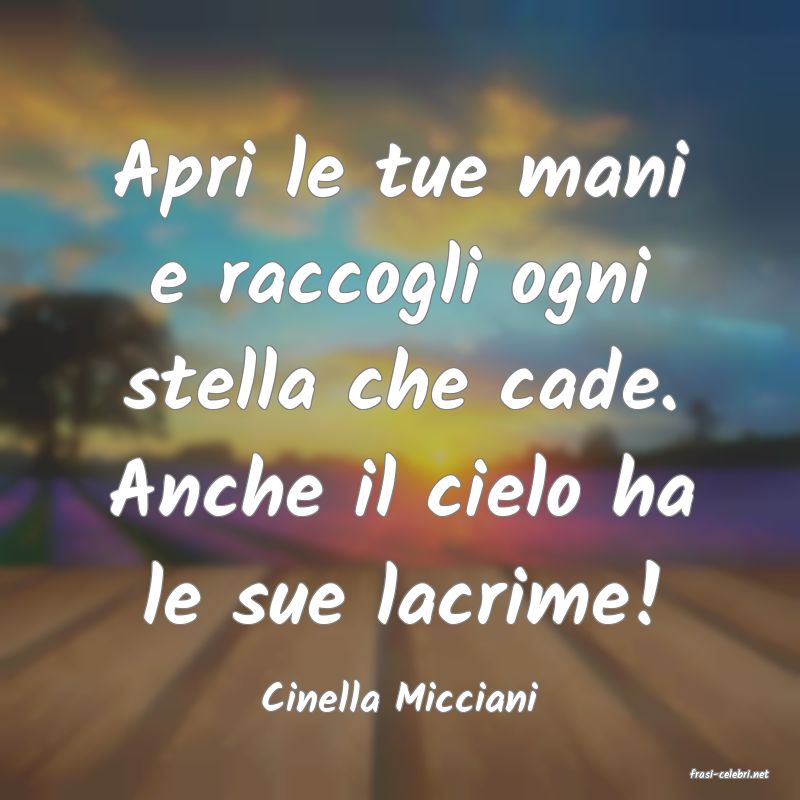 frasi di  Cinella Micciani
