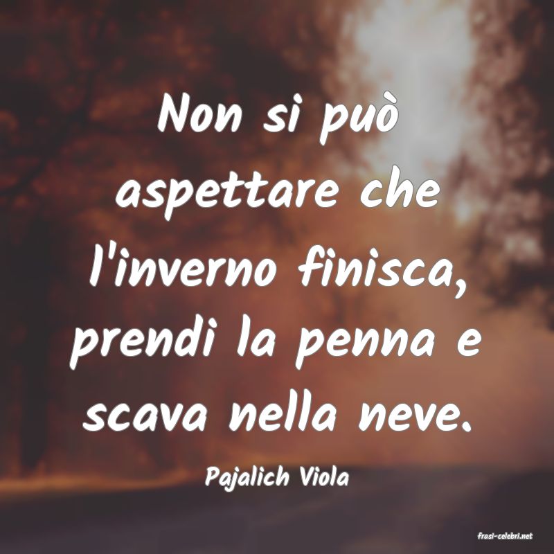 frasi di  Pajalich Viola
