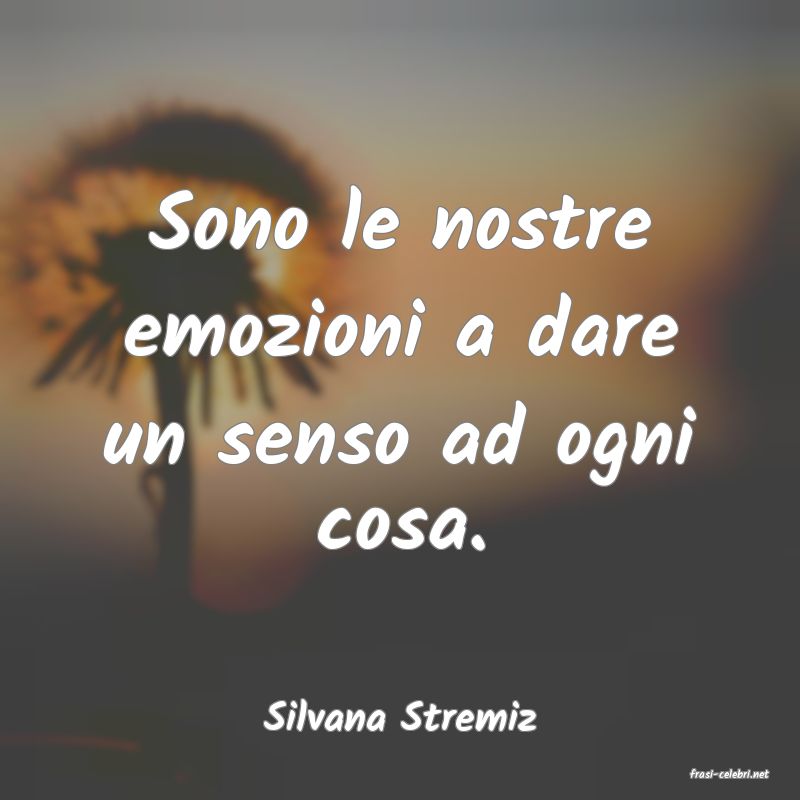 frasi di Silvana Stremiz
