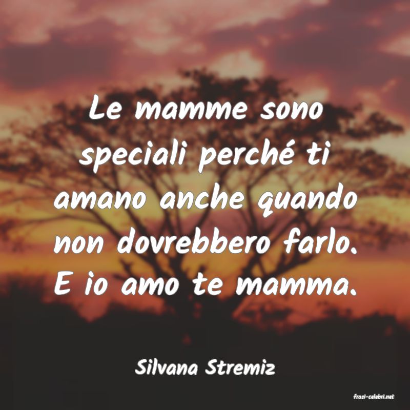 frasi di Silvana Stremiz