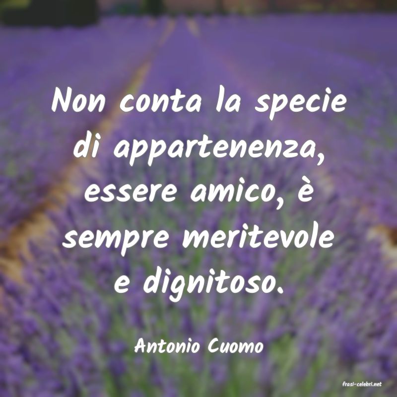 frasi di  Antonio Cuomo
