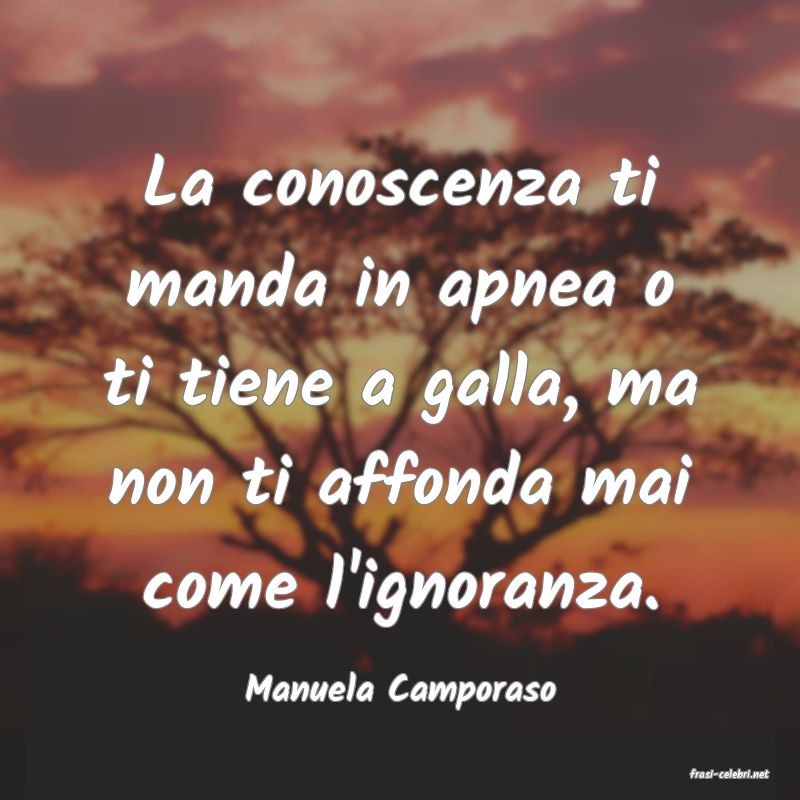frasi di  Manuela Camporaso
