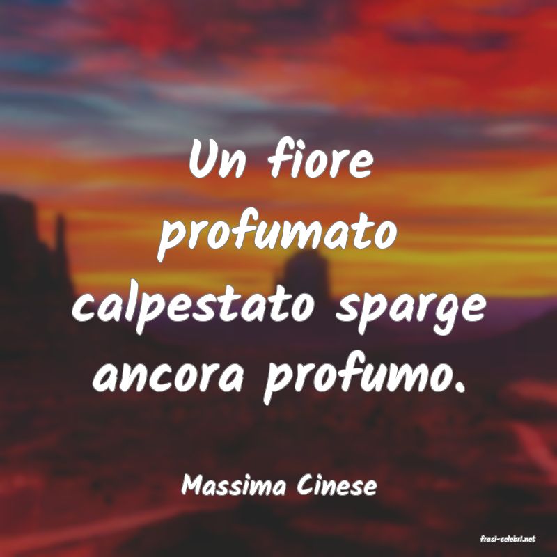 frasi di  Massima Cinese
