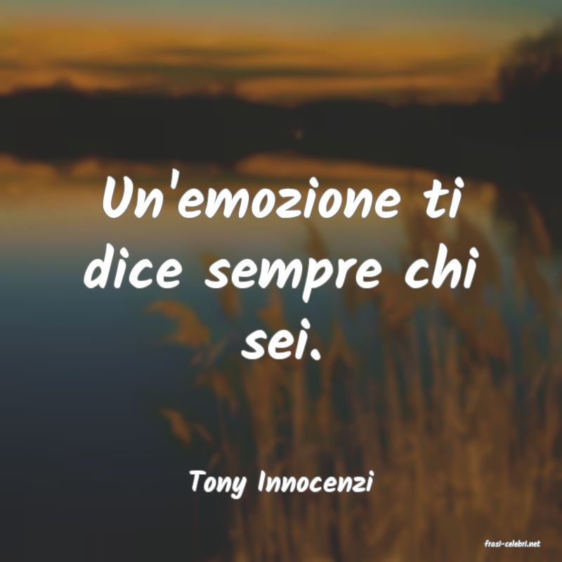 frasi di  Tony Innocenzi
