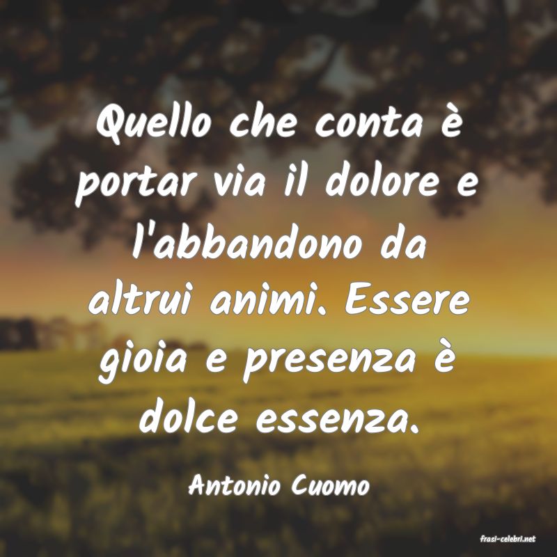 frasi di  Antonio Cuomo
