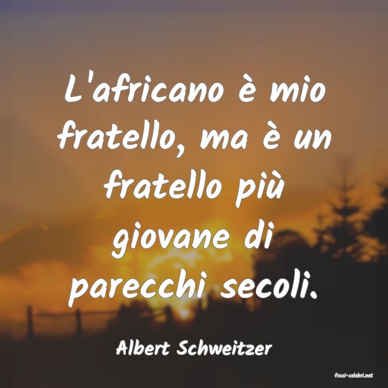 frasi di Albert Schweitzer
