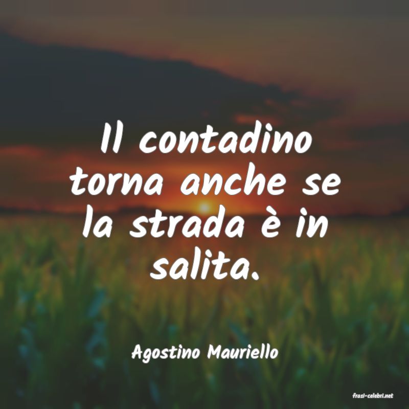 frasi di  Agostino Mauriello
