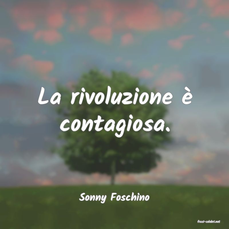 frasi di  Sonny Foschino
