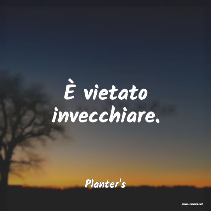 frasi di  Planter's
