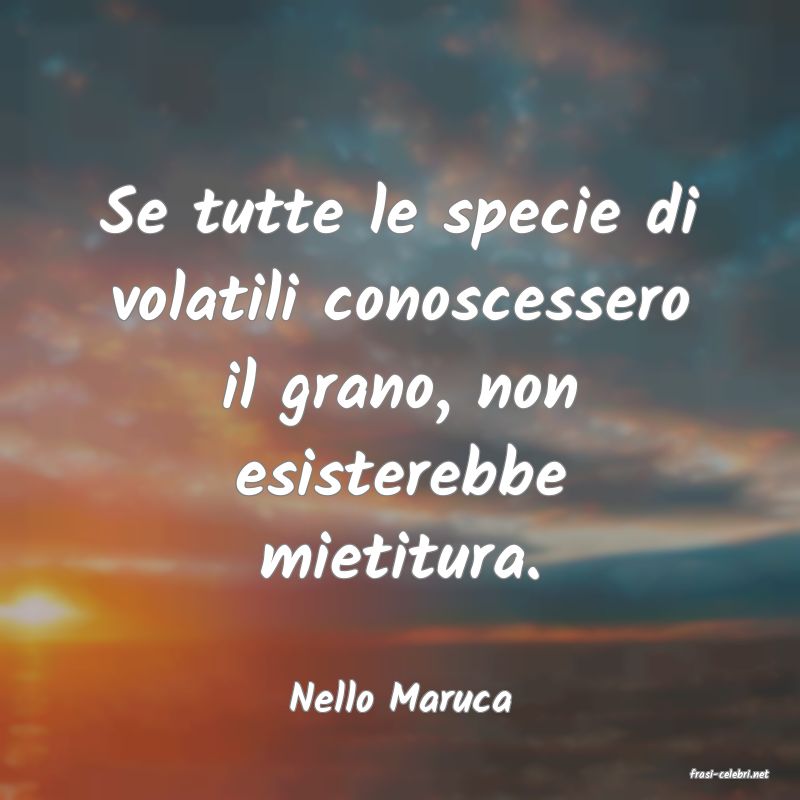 frasi di  Nello Maruca

