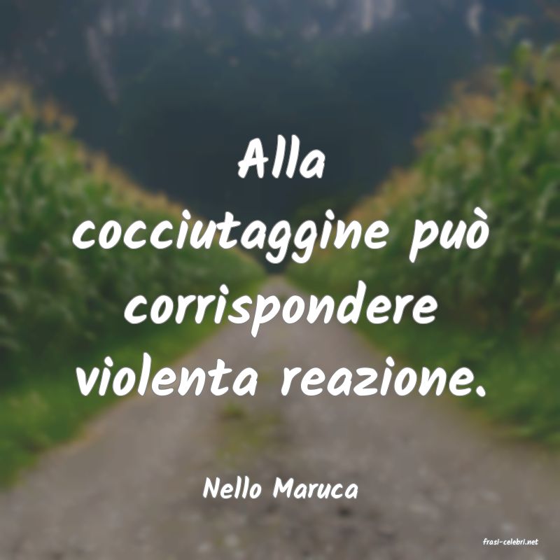 frasi di  Nello Maruca
