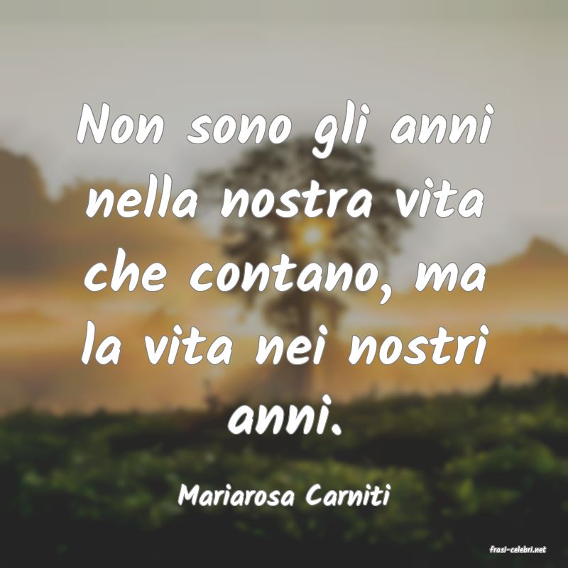 frasi di  Mariarosa Carniti
