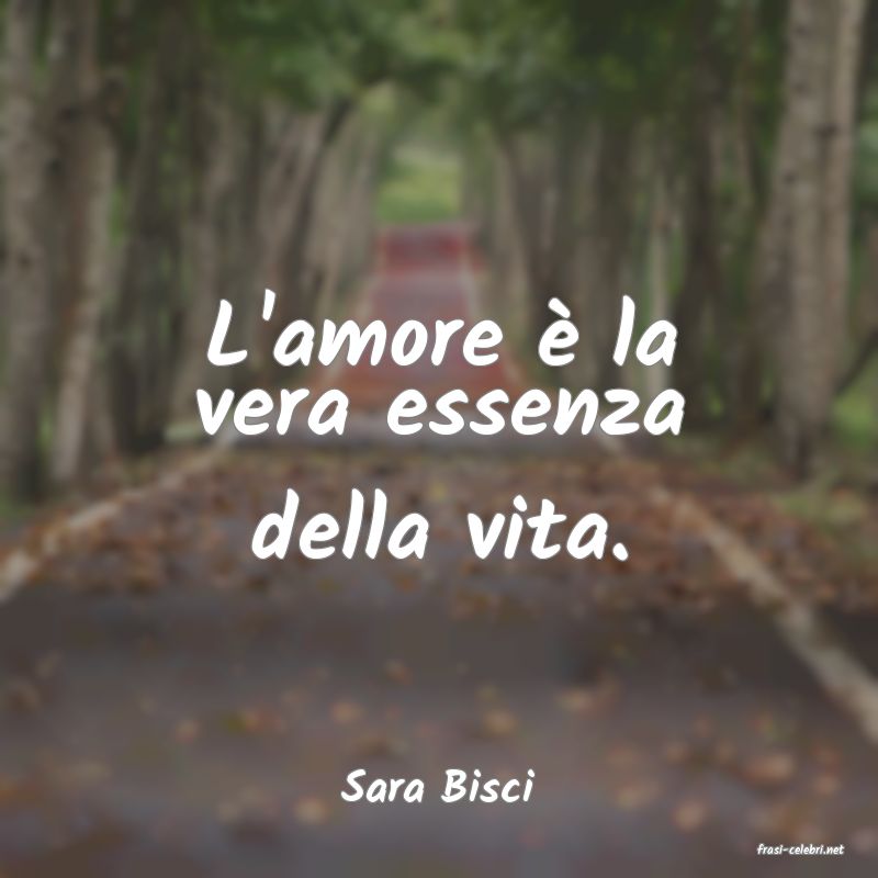 frasi di Sara Bisci