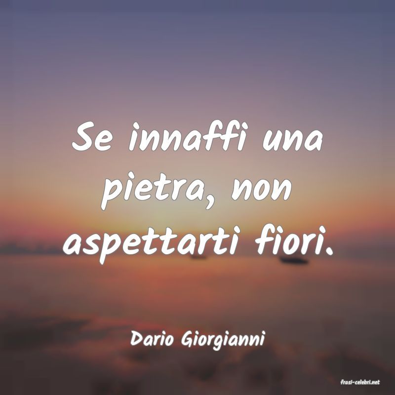 frasi di  Dario Giorgianni
