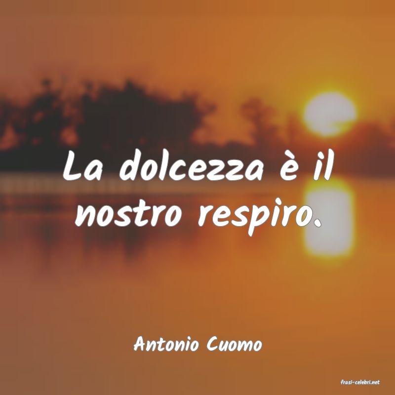 frasi di  Antonio Cuomo
