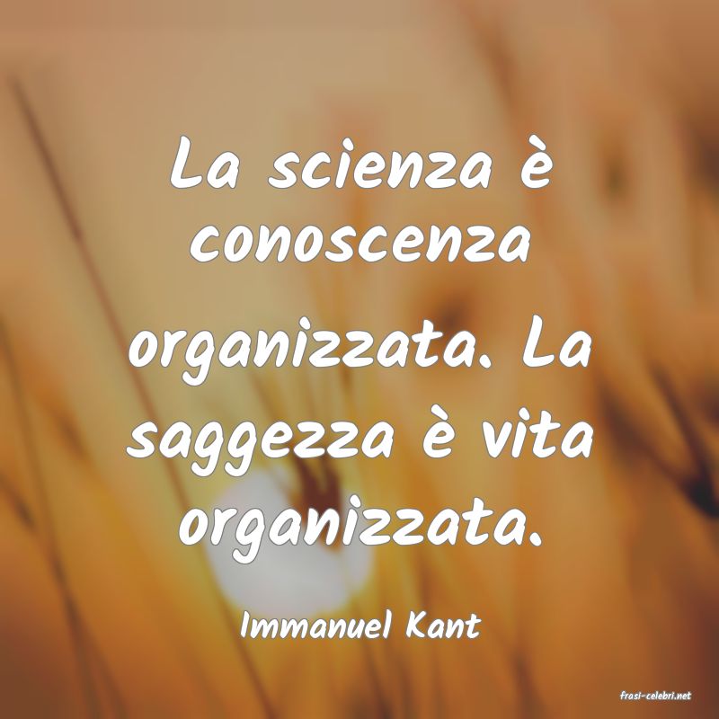 frasi di  Immanuel Kant
